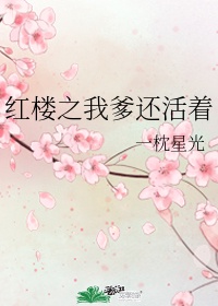 仓鼠管家全集