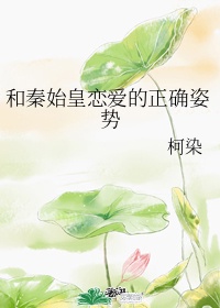 新上门女婿结局