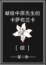 琼明神女录浅斟低唱