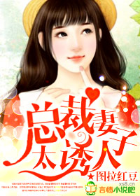 宋天明三个婆娘