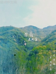 惟壳大师原文注解