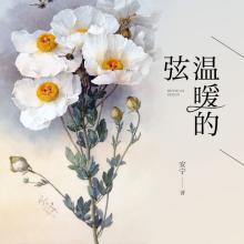 花非花古诗视频