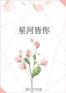 出水芙蓉中国画简介