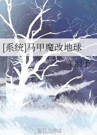 泽村玲子百度百科