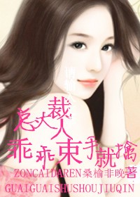 女友的妈妈3