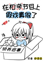 无翼岛漫画