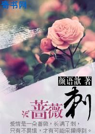 守护雅典娜转职版