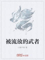 毛笔老师兼职