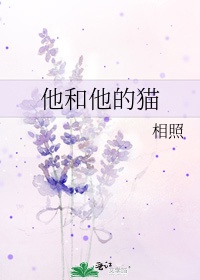 集著尚书偶成全文