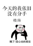 免费阅读阿衰漫画