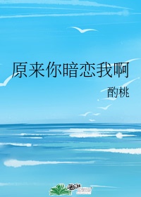 动画中x探长在两起案件现场发现了什么关键线索