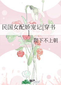 狃花女电视剧全集