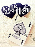 美丽教师1975意大利语翻译版