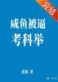 我老婆是冰山女总裁沈浪全集