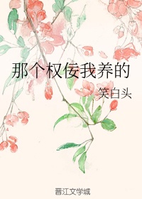 嫡妻二嫁明月珰