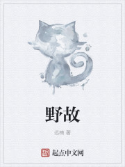 女教师玩具计划