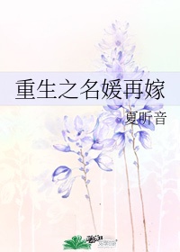 菲字毛笔正楷