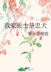 污小说排行榜