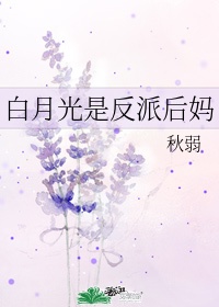 汉字蒙化字体