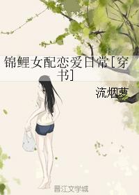 我以新婚辞旧情短剧免费全集