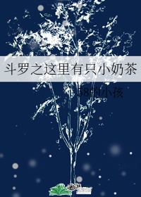 史上最强炼气期免费