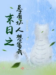 献楷书咋写