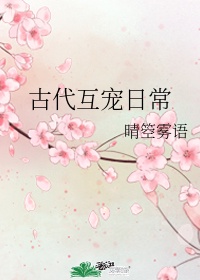 宋诗词名字