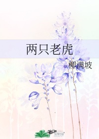 蜜汁樱桃小说