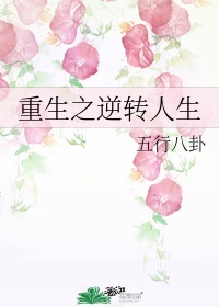 老阿姨bilibili