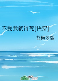 上环了可以给儿子玩吗