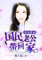 杨门女将之穆桂英挂帅