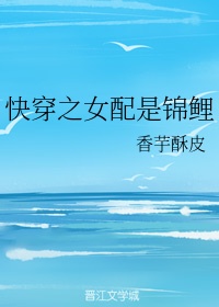 无良导航皮皮虾导航