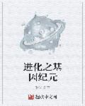 高h系列