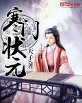 秦将代魏文言文