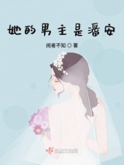 女律师的堕落电影