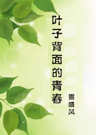 疯狂的交换1—12大团结