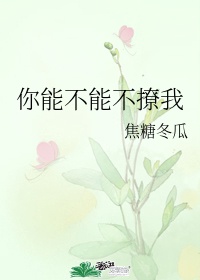 硬笔书法满字楷书