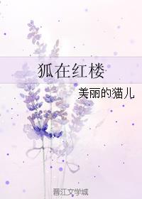 同字隶书写法