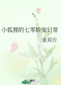 黄晓明版鹿鼎记