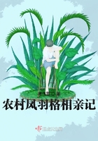 林师傅在首尔电视剧