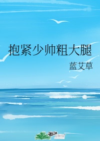 绝世神偷废材七小组txt