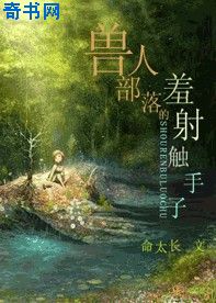 沉沦女律师洛云全文