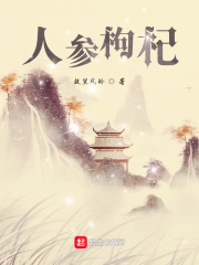 辑小篆字体