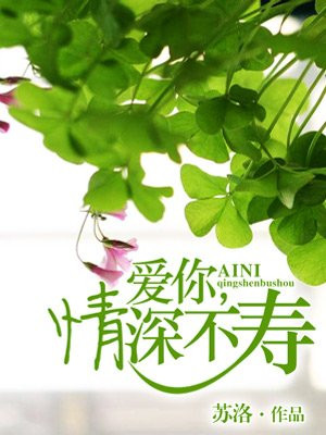 蜀门仙禽攻略