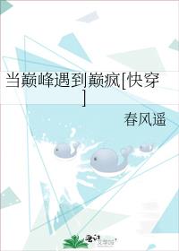 杨思梅金瓶敏第1一5集