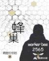 华丽外出140分钟完整版