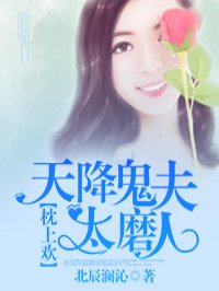 黛妃双夫