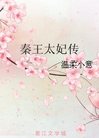 鞠婧祎小说