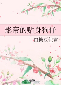 《姜可》小说