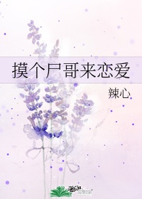 毛笔多体书